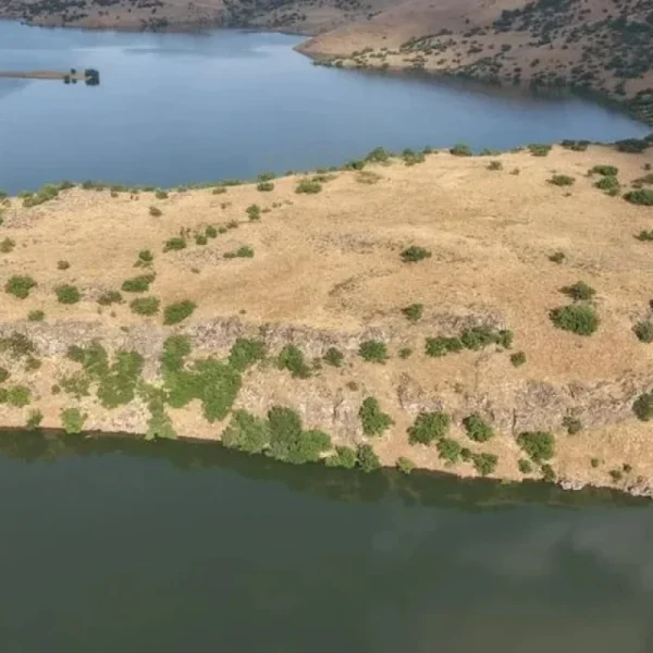 Մուշ