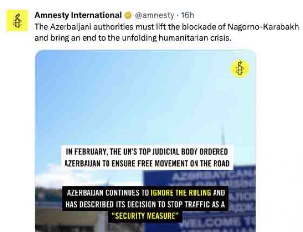 Amnesty copie